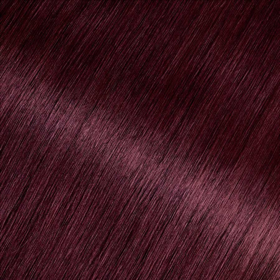 Garnier Olia 4.62 - Dark Garnet Red - Powered Permanent Hair Color